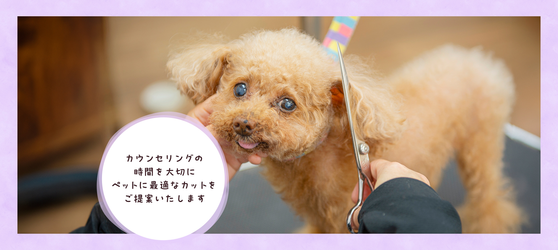 DogSalon RwanPC
